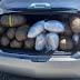 Θεσπρωτία:Το τροχαίο ...αποκάλυψε περισσότερα από 94 kg κάνναβης [βίντεο]