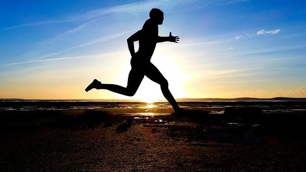Apakah Berlari Setiap Hari Baik untuk Tubuh Anda?