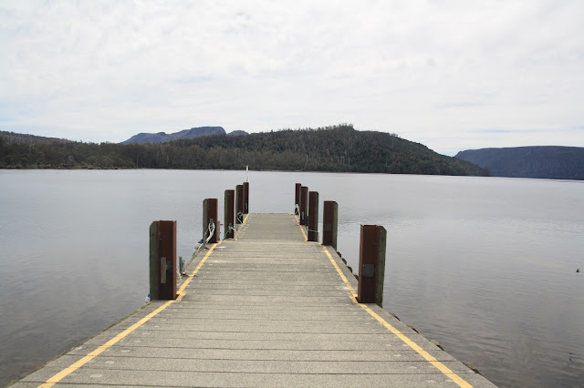 Lake St Clair Great Short Walk Tasmania
