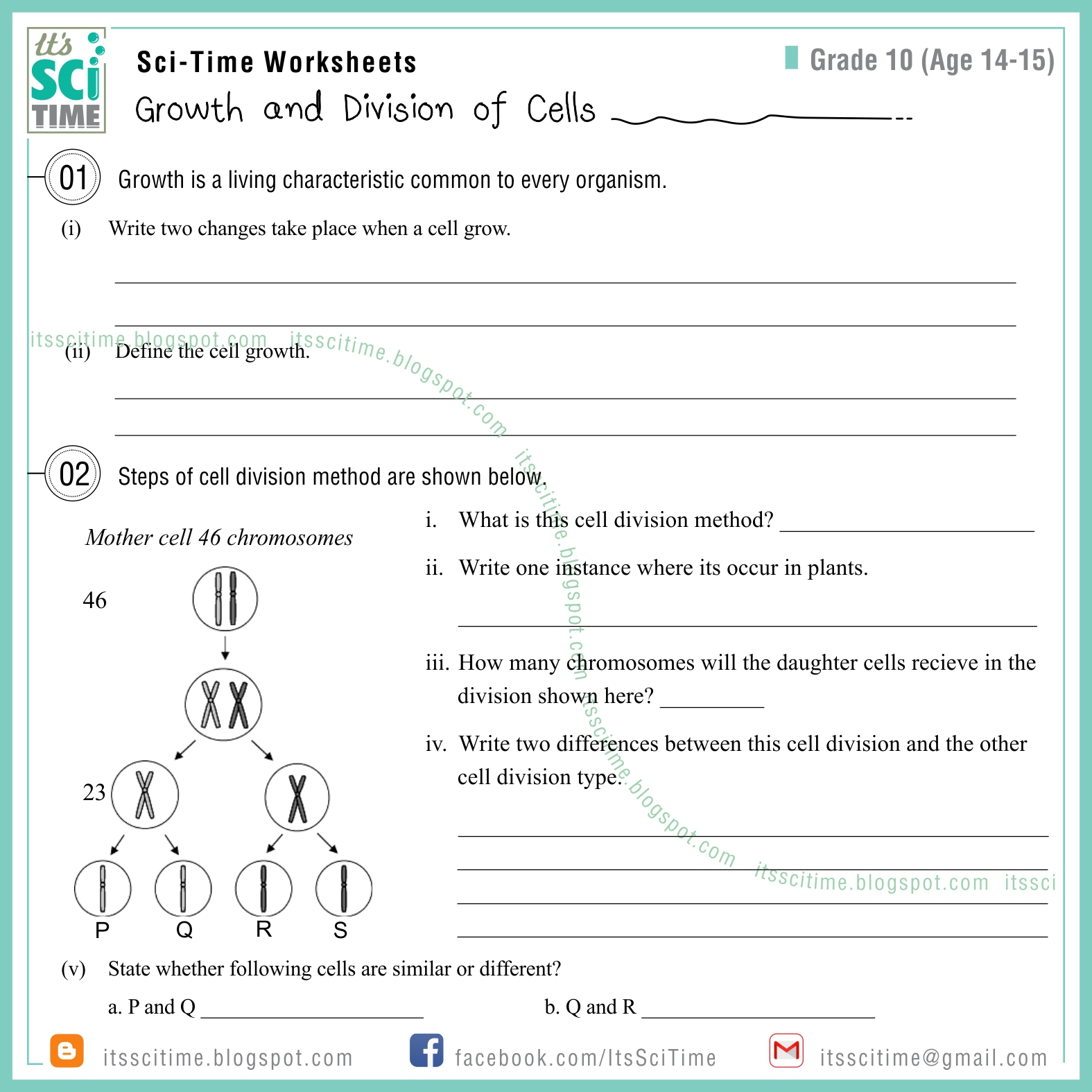 Its SciTime: Cell Growth and Cell Division