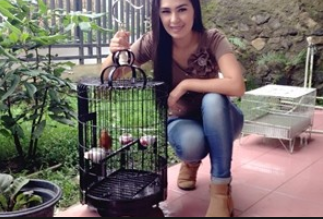 Kumpulan Foto Wanita Cantik Wanita Cantik Hobi Burung
