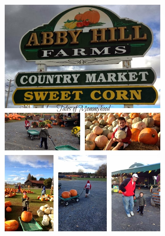 Tales of Mommyhood It's Pumpkin Time