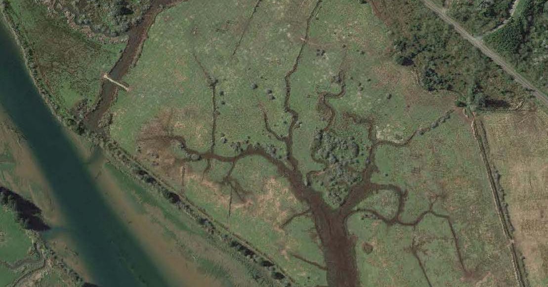 Reading the Washington Landscape Naselle River Notes