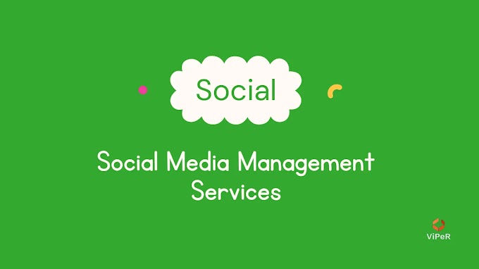 Social Media Management Services of Webnthings Company