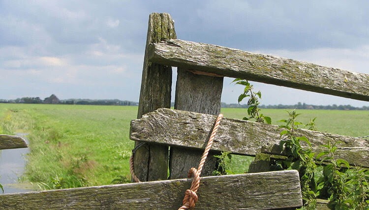 Mercado inmobiliario rural, pandemia, crisis y vender para