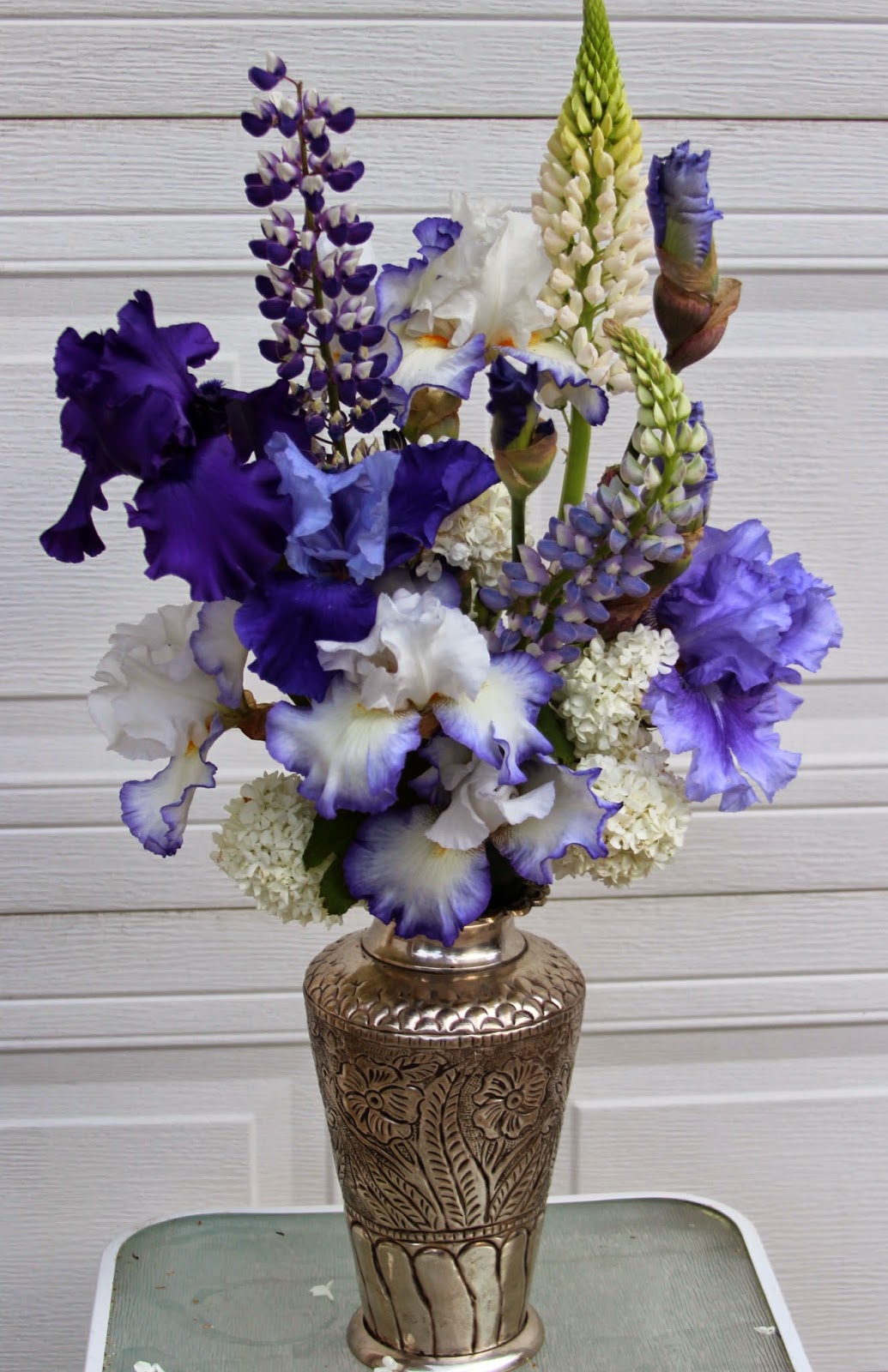 TALL BEARDED IRISESMEMORIAL DAY ARRANGEMENTS 2014 Sowing the Seeds