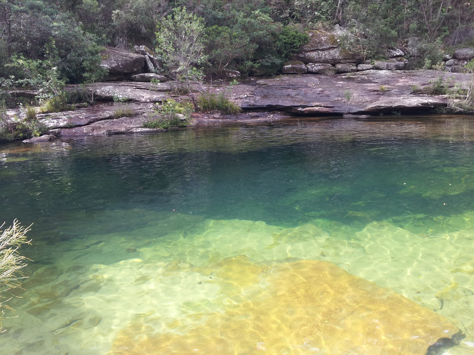 Lazy Swimmer Swimming In The Royal