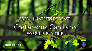 CAPILANO FOSSIL FIELD TRIP / EPISODE #84