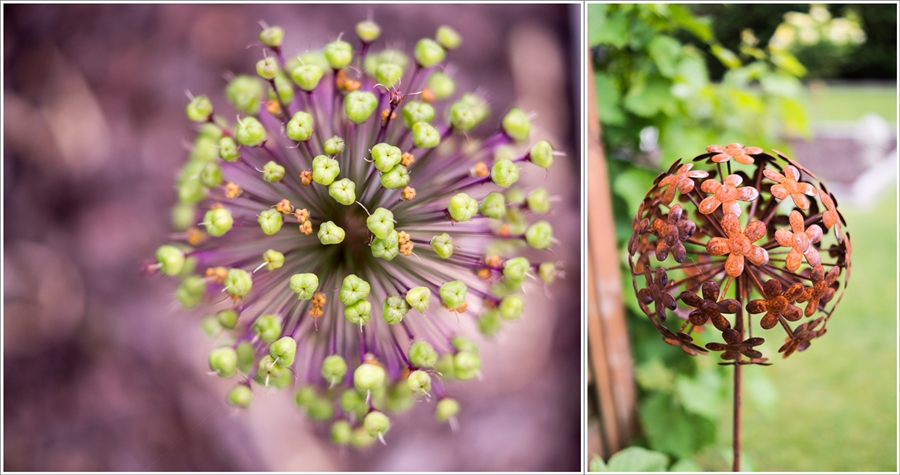 Blog + Fotografie by it's me | fim.works | Ein Garten im Norden | verblühter Allium | Gartenstecker mit Rostpatina