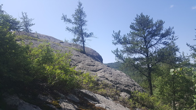 Vue sur le sentier des collines d'Alembert