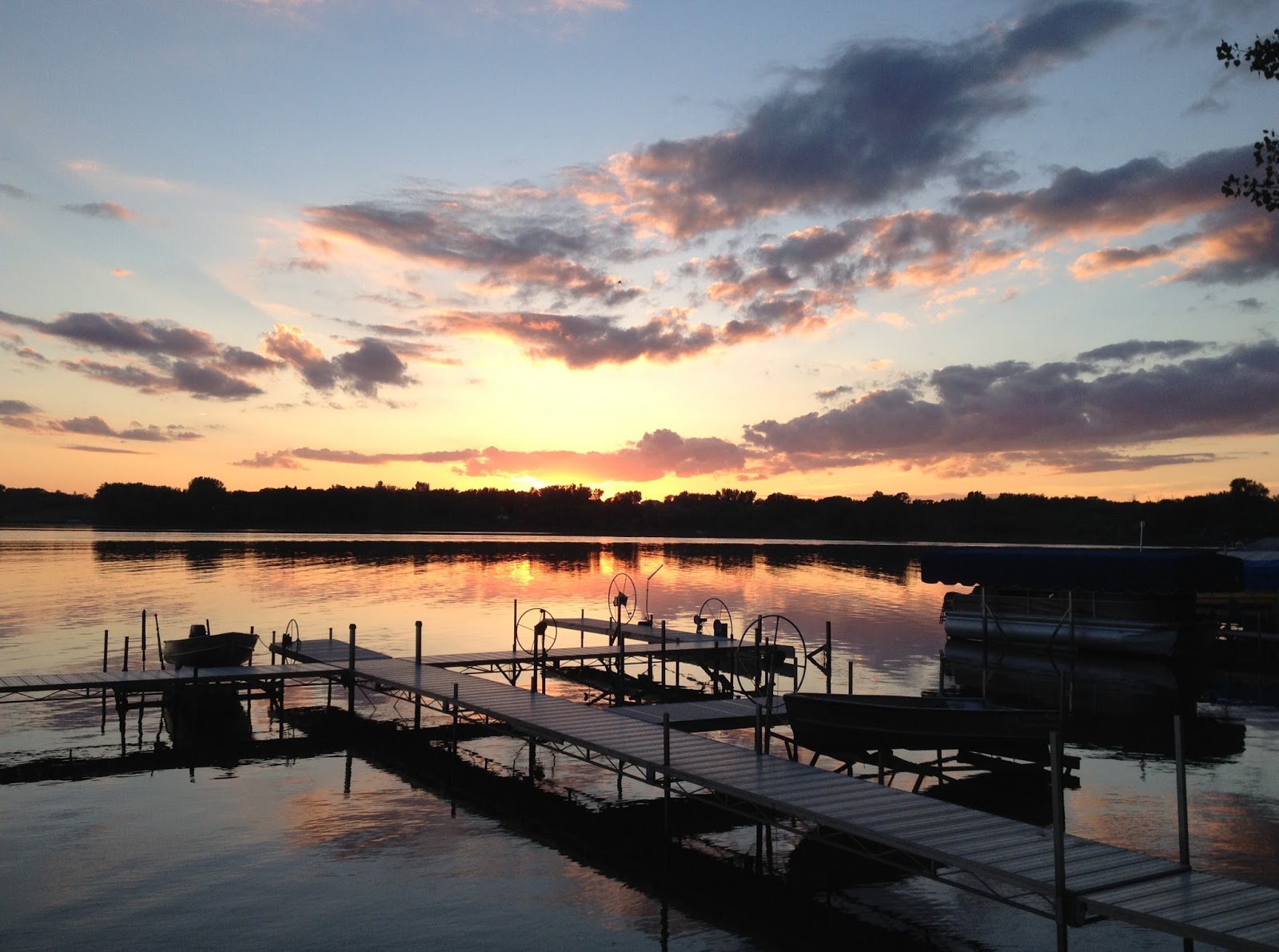 The Wild Reed Pelican Lake
