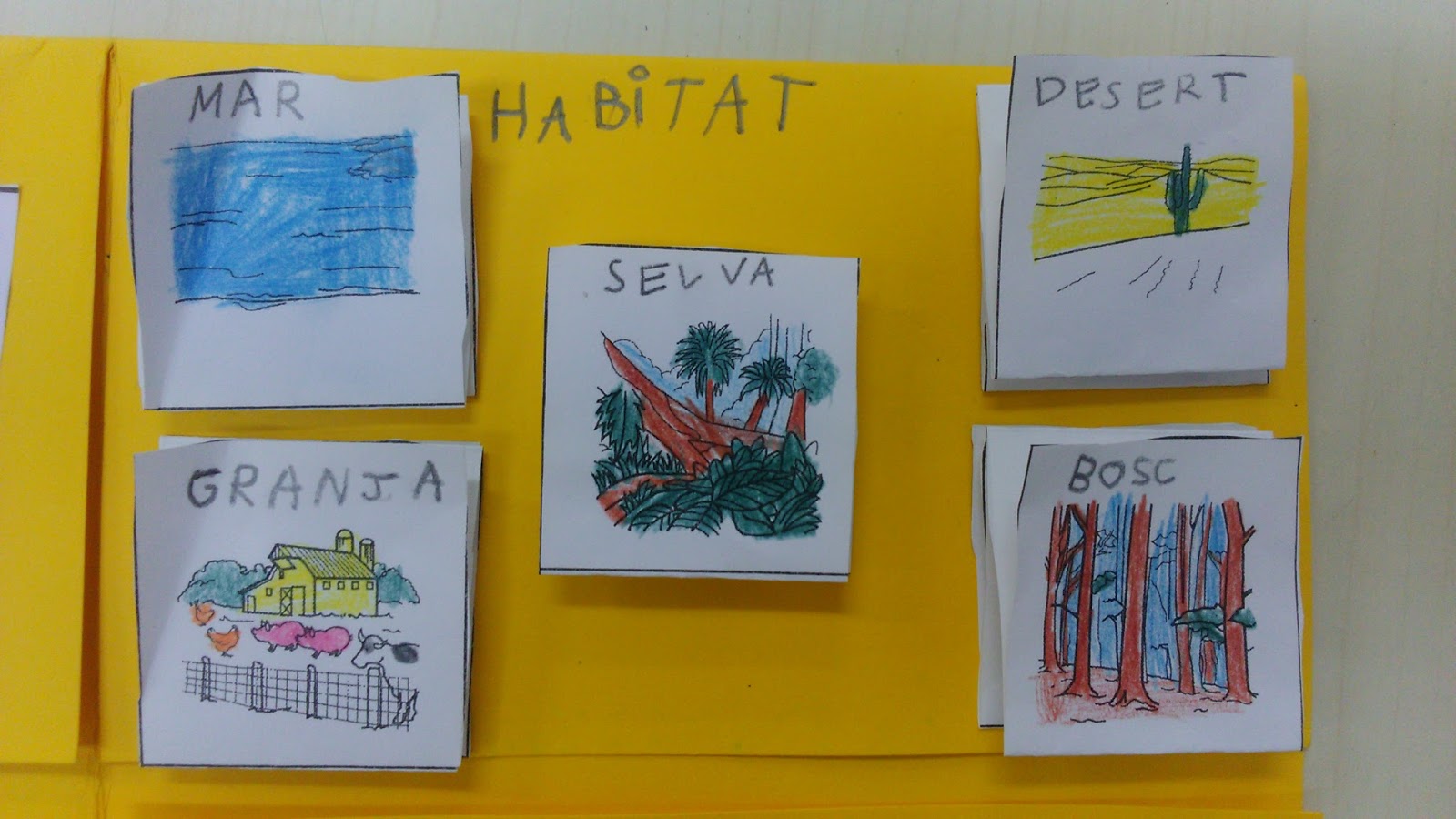 Escola, món d'emocions LAPBOOK HÁBITAT