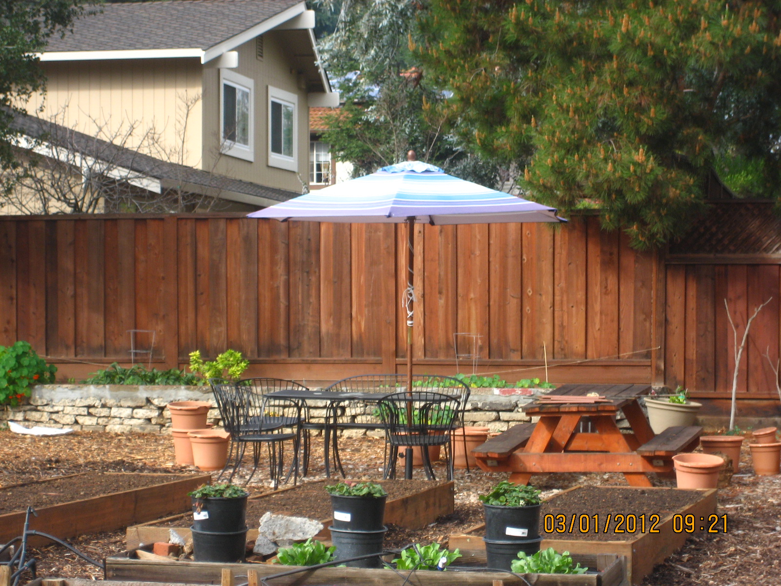 Brindavan in the Bay Area: The new raised beds