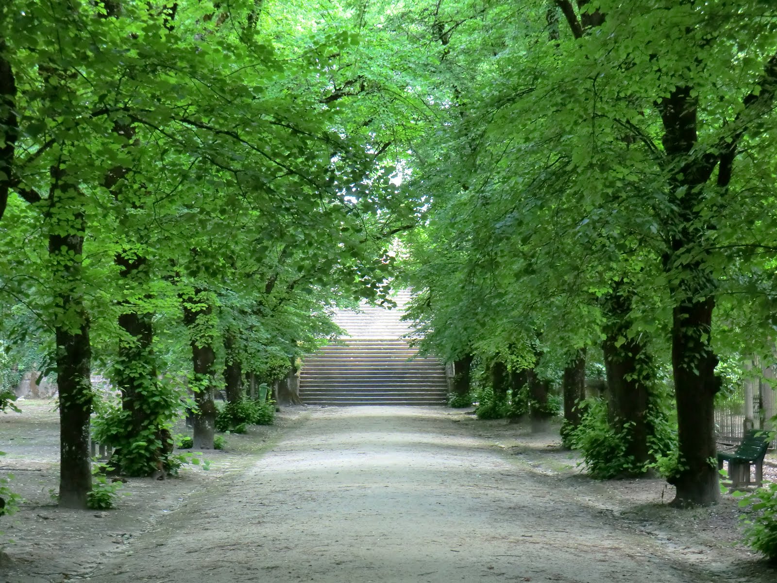 METIDO EN JARDINES: Elementos del Jardín, Escaleras.