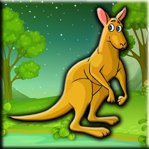 Red Kangaroo Rescue