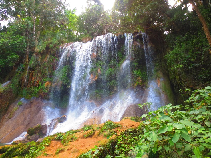 Эль ничо куба