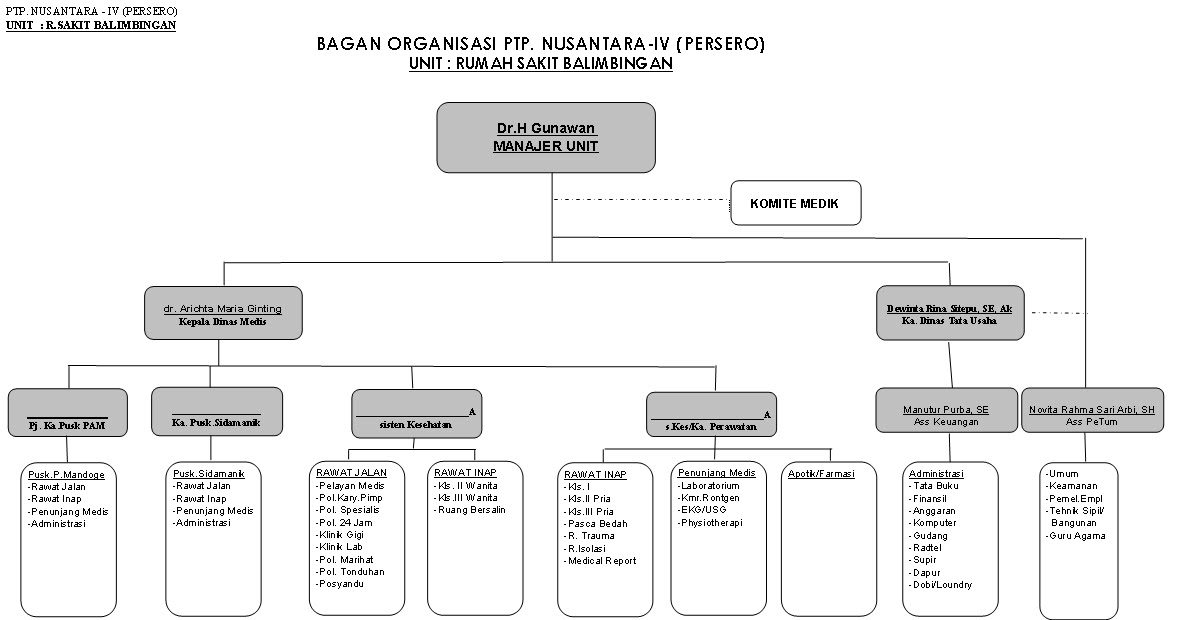 Struktur Organisasi: BAGAN ORGANISASI RUMAH SAKIT