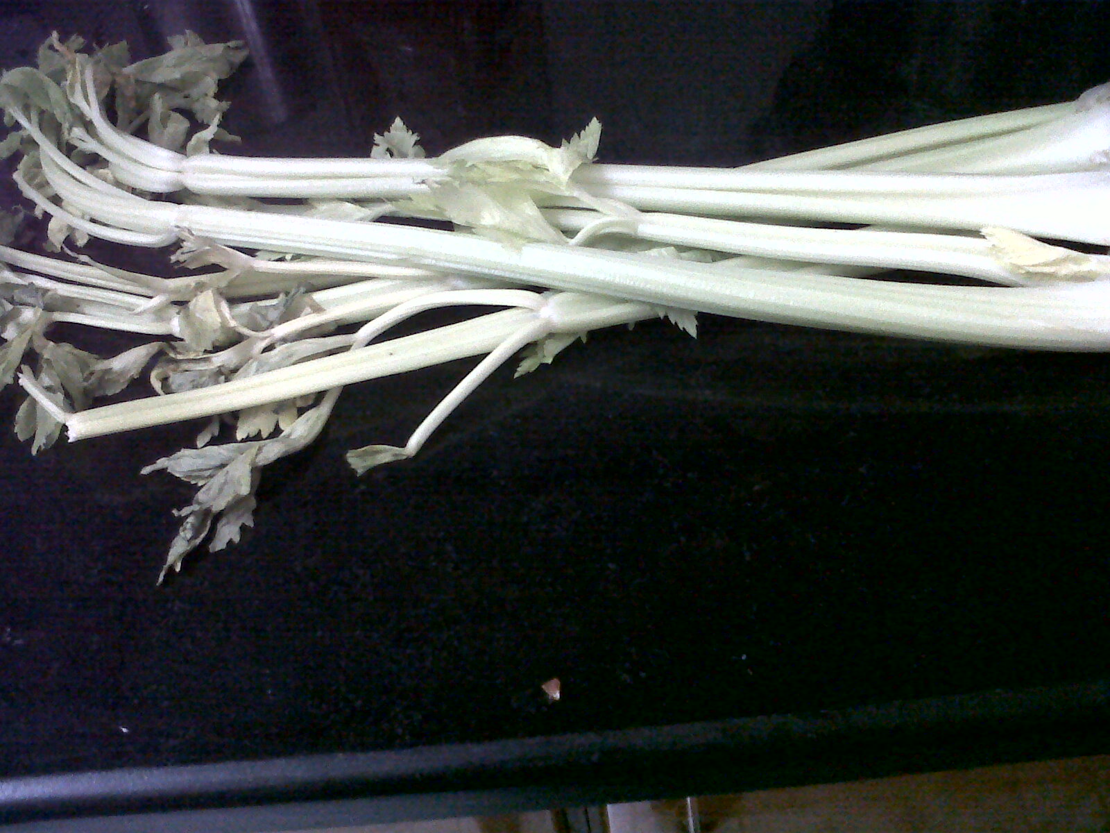 GOOD FOOD ENDS WITH GOOD TALK Celery Thoran