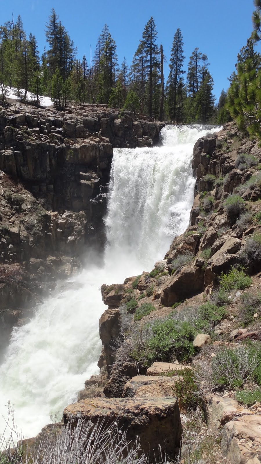 The Fly Syndicate Recon Lake of the Woods & Webber Falls Part I