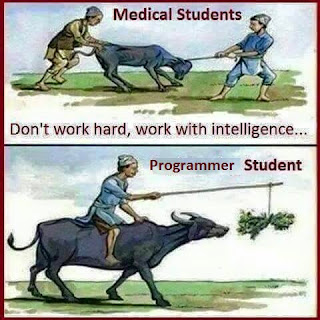 Intelligence of programmer