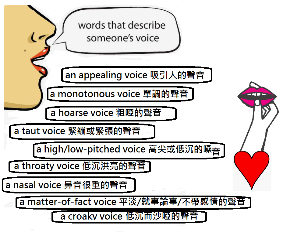 本周的英語每周一文 The Voice is the Best Instrument 聲音是最美的樂器，加碼學習各種聲音的形容詞。