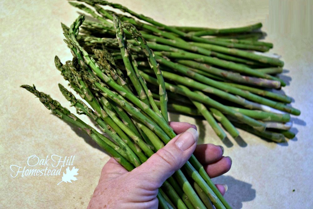 Homemade Cream of Asparagus Soup from Scratch Oak Hill Homestead