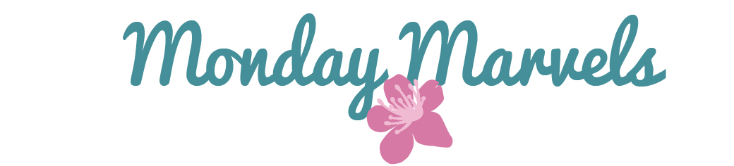 Making the most of monday Monday, 29 October 2012