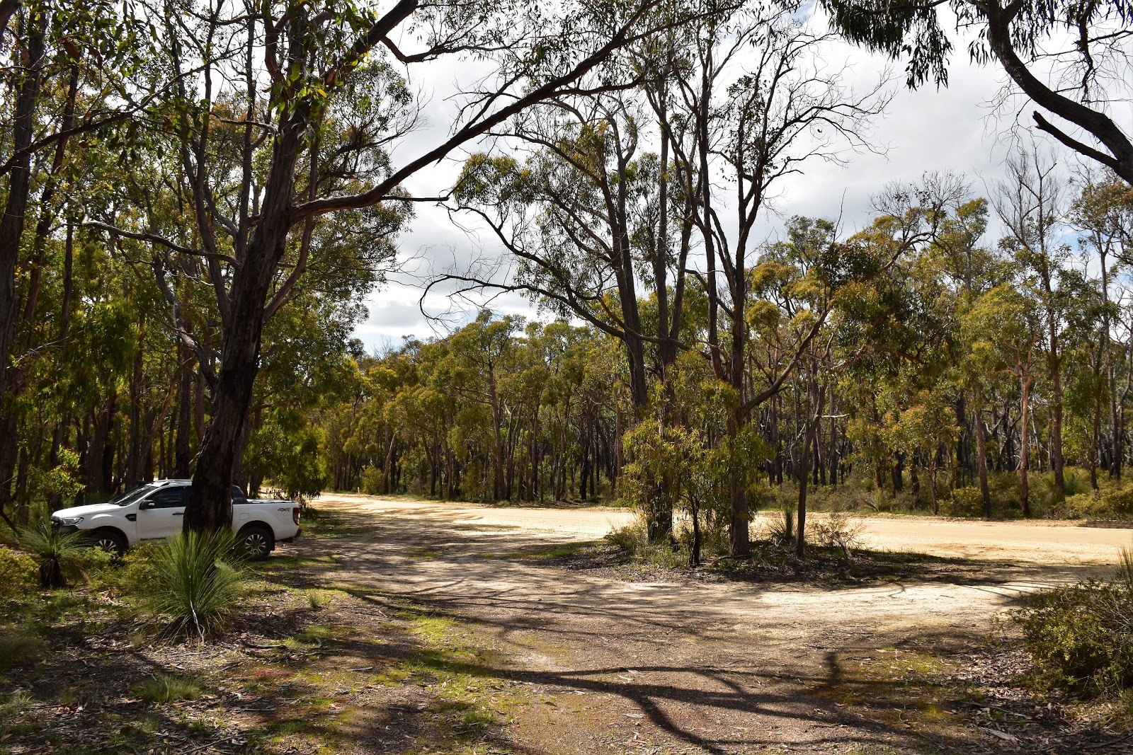 Goin' Feral One Day At A Time Spring Creek Loop Track, Brisbane Ranges