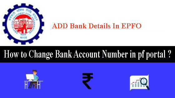 How to Change Bank Account Number in pf portal