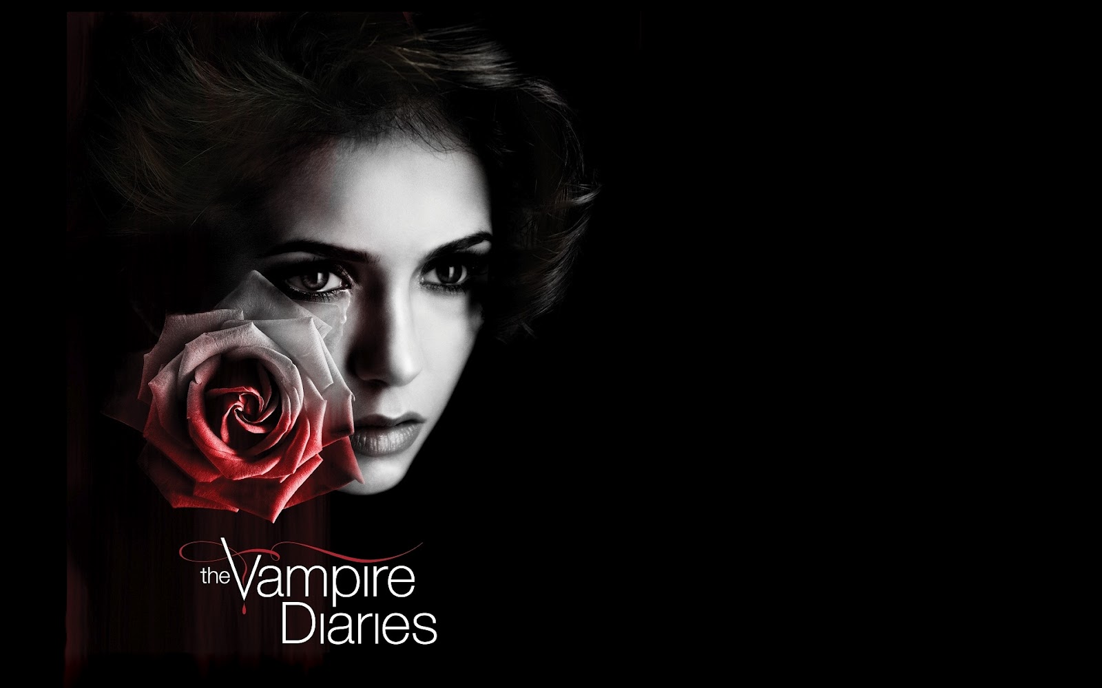 http://1.bp.blogspot.com/-z70dOZovwJk/T6_CZ2cRzTI/AAAAAAAALqo/9l9MGCXJUf4/s1600/Vampire_Diaries_Tv_Wallpaper_1920x1200.jpg