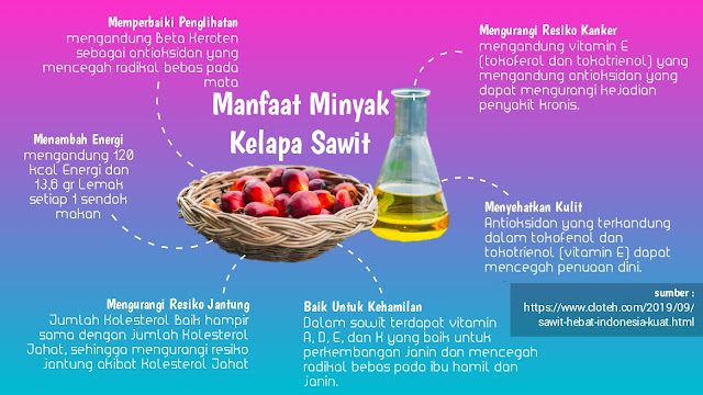 Manfaat dan Kandungan Kelapa Sawit Manfaat dan Kandungan Kelapa Sawit
