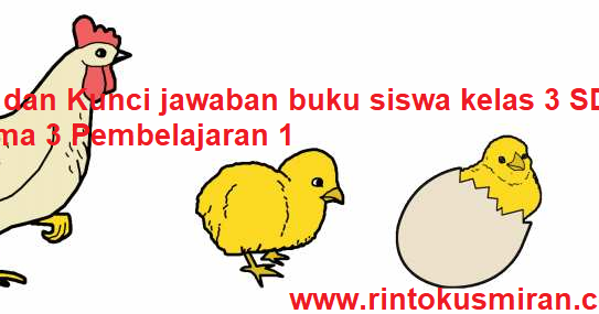 Rinto Kusmiran Materi Dan Kunci Jawaban Buku Siswa Kelas 3 Sd Tema 1 Subtema 3 Pembelajaran 1 Rinto Kusmiran Materi Dan Kunci Jawaban Buku Siswa Kelas 3 Sd Tema 1 Subtema 3 Pembelajaran 1