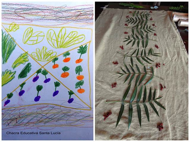 Dibujo cultivos/ecoprint con hojas y frutos Anacahuita -ChacraEducativa Santa Lucía Dibujo cultivos/ecoprint con hojas y frutos Anacahuita -ChacraEducativa Santa Lucía