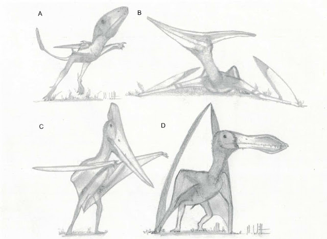 Manospondylus The Weirdest Things People Have Thought About