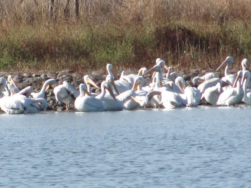 Kayaking the Lakes of South Dakota: Silver Lake (near Freeman): Late ...