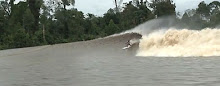 Got Jungle River Surfing Fever?