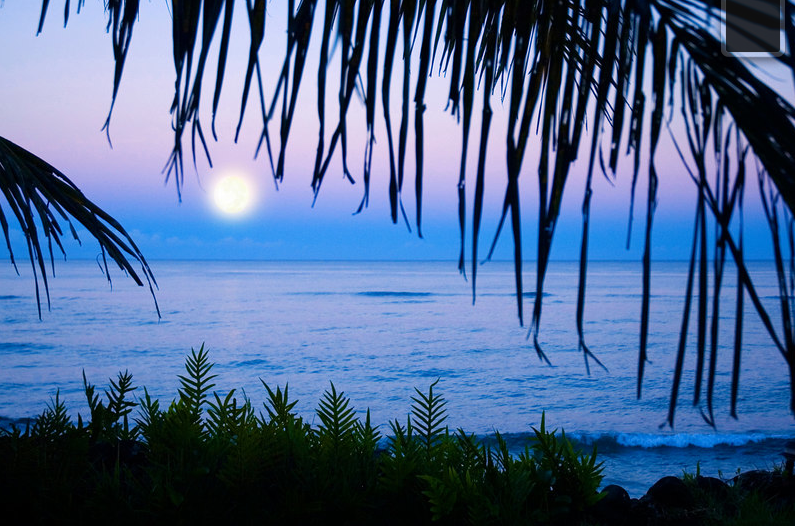 Moonset, Sunset Point ~ Early Morning