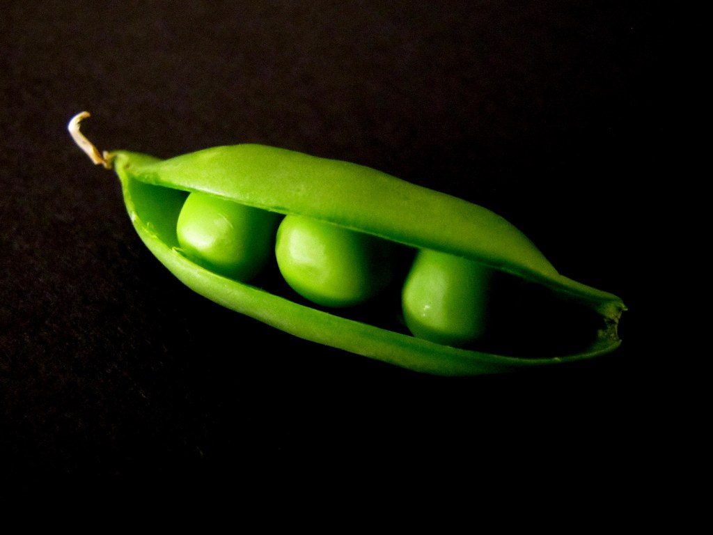 The Other Side of the Blessing Three Peas in a Pod