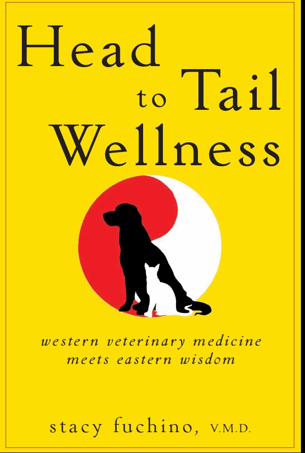 Head to Tail Wellness: Western Veterinary Medicine Meets Eastern