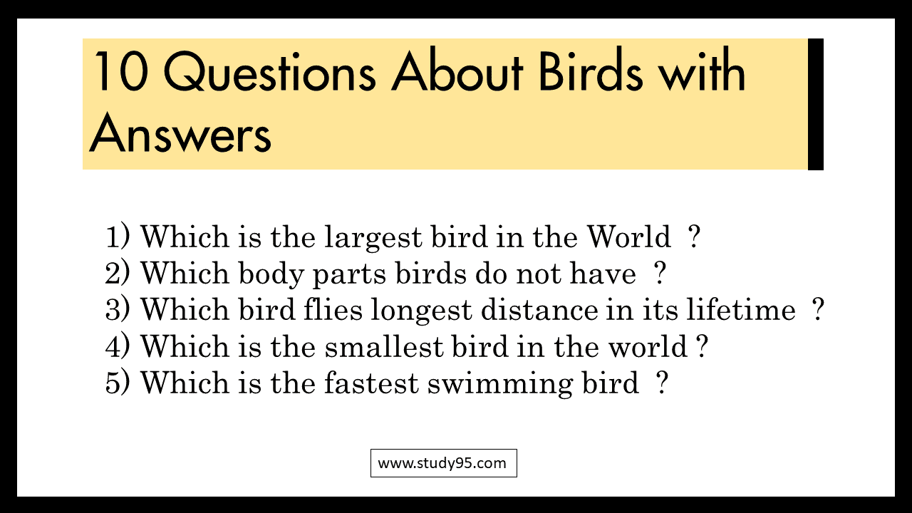 10 Questions About Birds with Answers