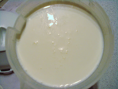 Pour milk into the yogurt starter and stir