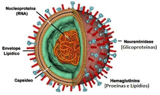 virus%2B2 - Pragas e Eventos