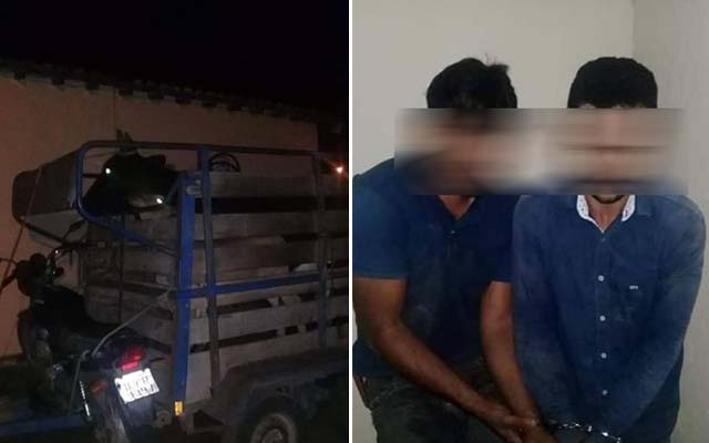 Polícia Militar prende dupla de Serrolândia acusada de roubo de gado na Bahia