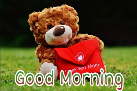Share chat Good morning images Share chat Good morning images