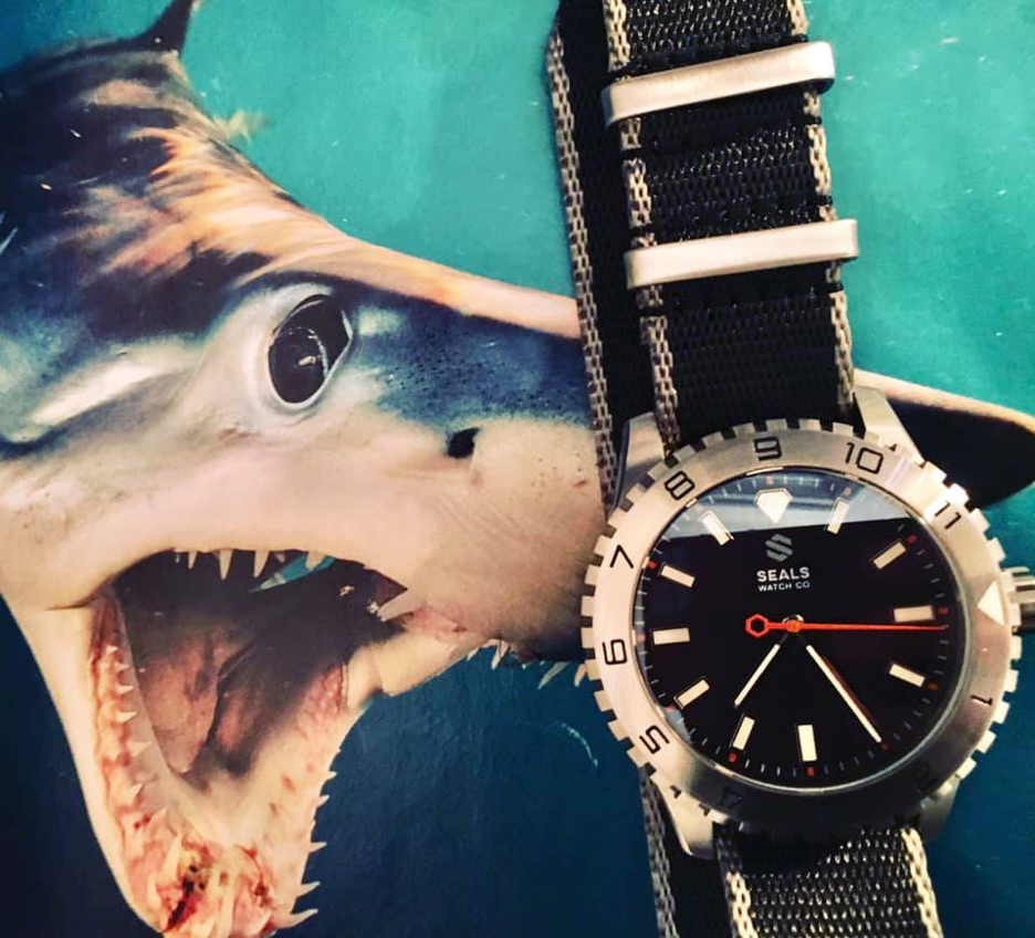 The Ultimate Shark Week Watch