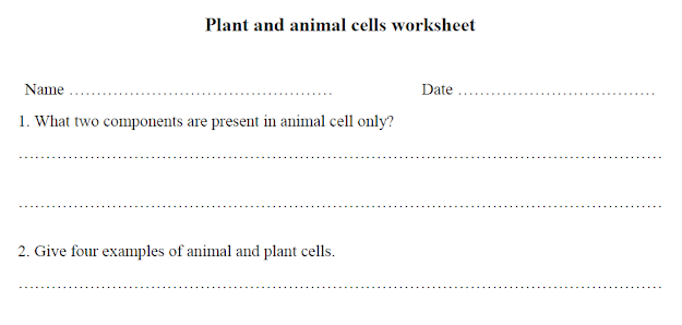 plant-and-animal-cells-worksheet