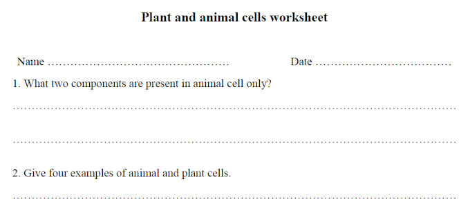 Plant and Animal Cells Worksheet