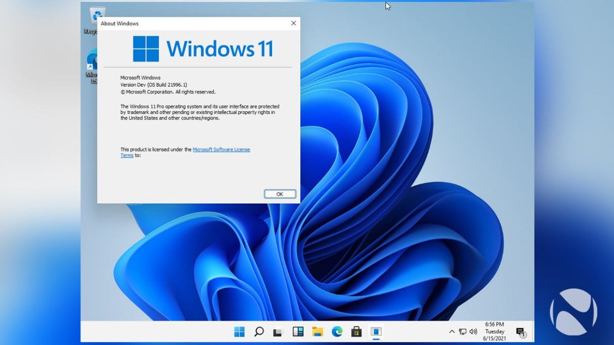 windows 11 release date beta