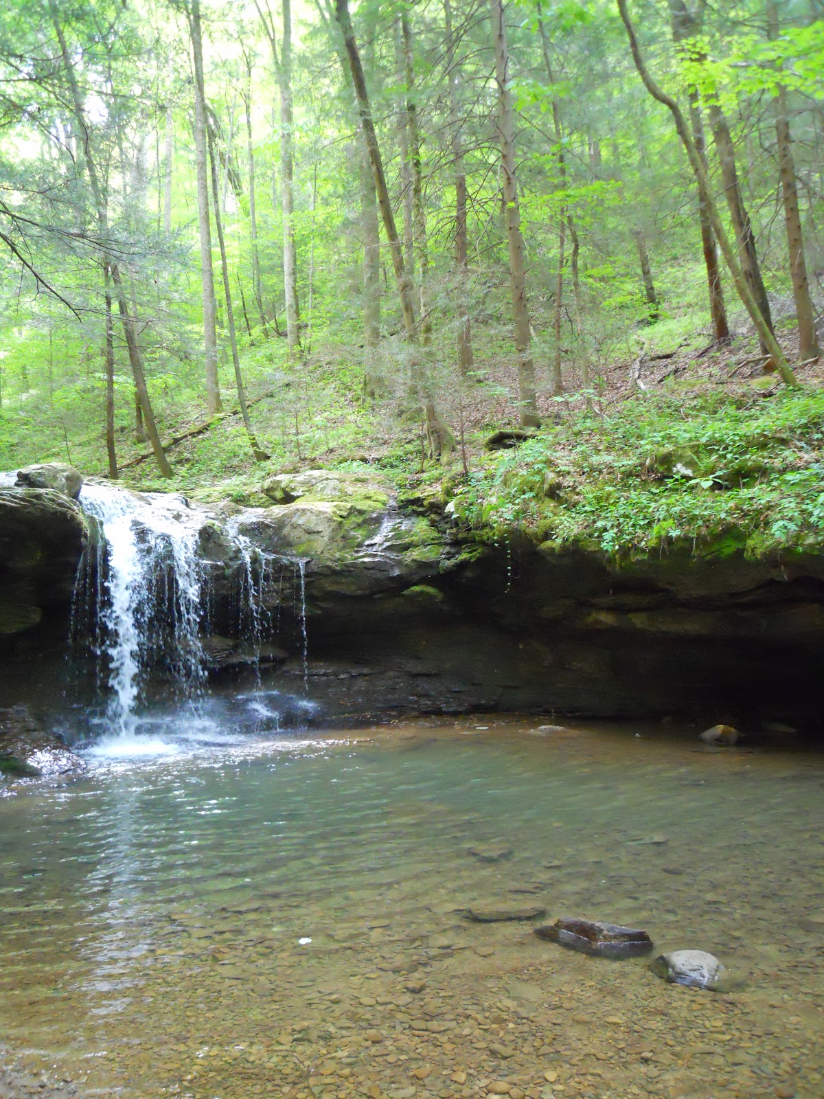 Go on the Cheap Guided Hike in Frozen Head State Park
