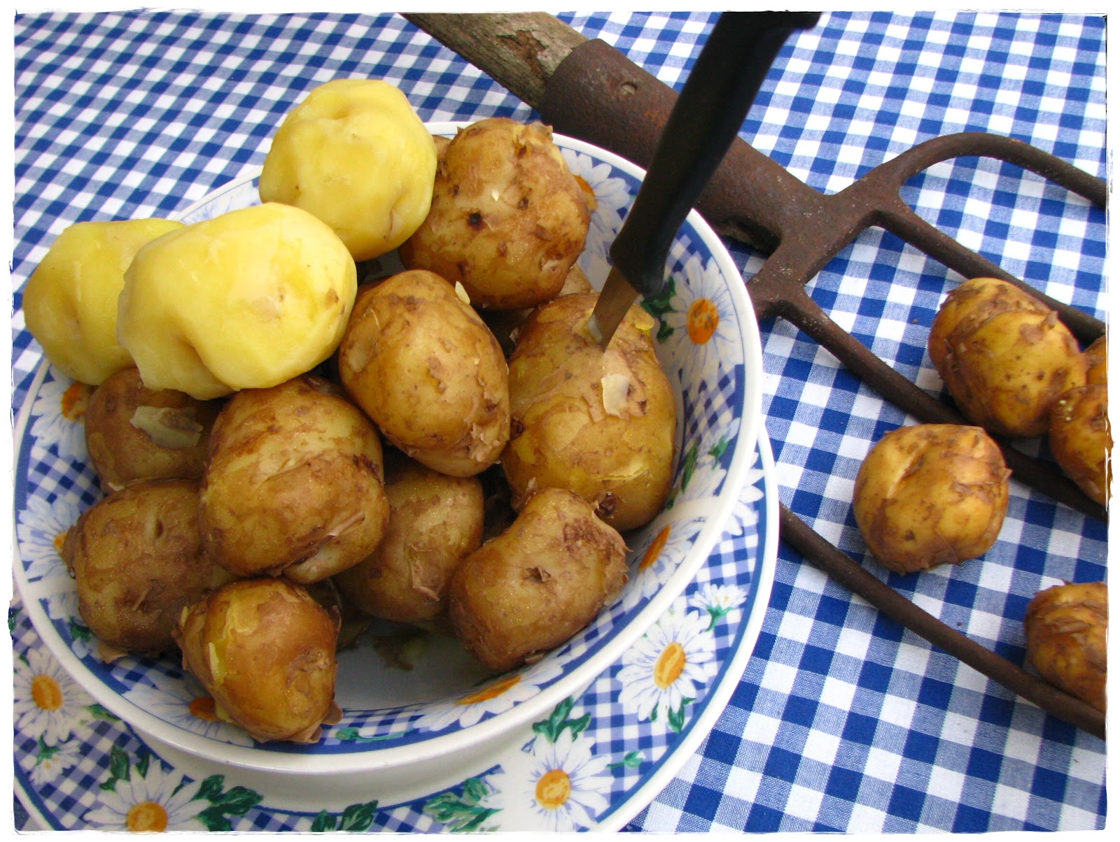 Hoorn Des Overvloeds Opperdoezer Ronde